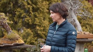 НИВАКИ ИЗ СОСНЫ ИЛИ ХУДОЖЕСТВЕННЫЙ ОБРАЗ