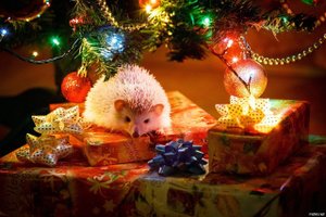 С Новым Годом! Красивое Пожелание!