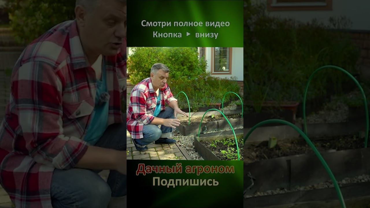 КАРТОФЕЛЬ сажаешь? Сделай землю КАК ХЛЕБ Дачный агроном