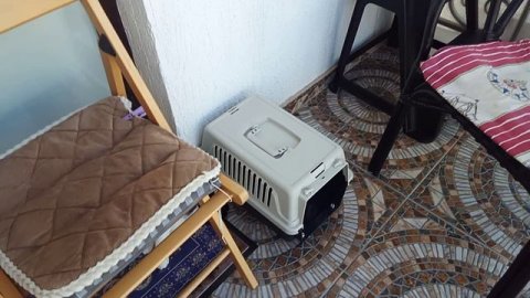 Никита