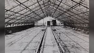 Простые истории. Тепличный комбинат г. Заречного