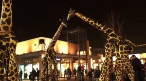 Jungle Night - Vicolungo The Style Outlets