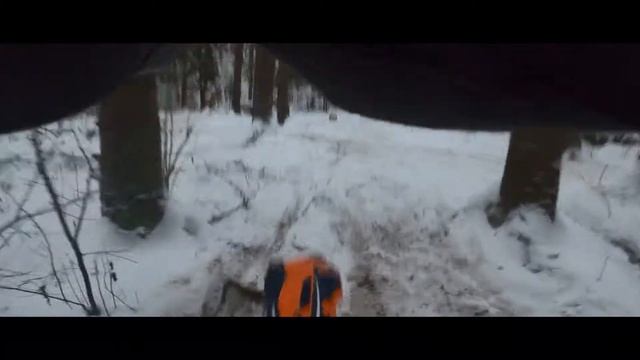 Вечерняя прогулка по зимнему лесу смотреть онлайн