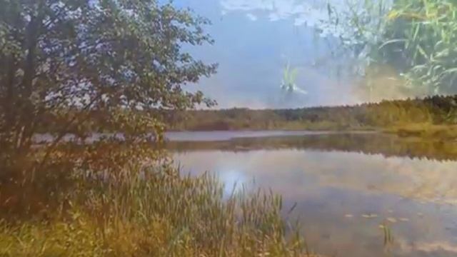  Озеро Коверши в Ногинском районе Московской области