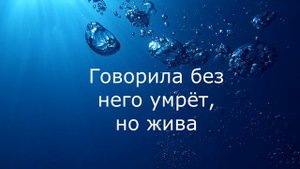 Клип: Пряталась в ванной.