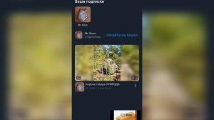 Как посмотреть сколько у тебя на канале подписчиков