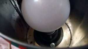 Овоскопирование , осмотр коричневых яиц , инкубатором Золушка , самодельный овоскоп.