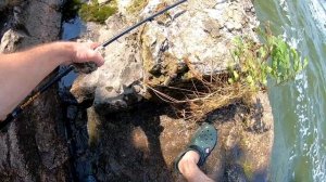 100 кг. рыбы за день это просто. Рыбалка на макуху.