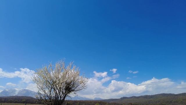 Пашем по камням плугом ПС-5/35! смотреть онлайн