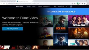 How to use cookies in Kiwi browser