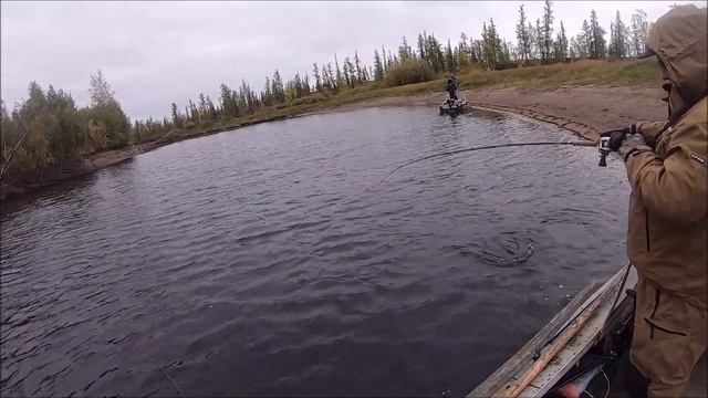 Щуки... Монстры Ямала! Часть 7. Рыбы Крокодилы! смотреть онлайн