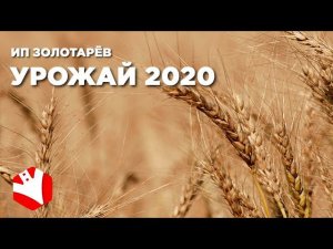 Урожай 2020 | Растениеводство | Выращивание картофеля