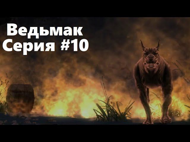 Зверь. The Witcher: Enhanced edition (Прохождение) # 10