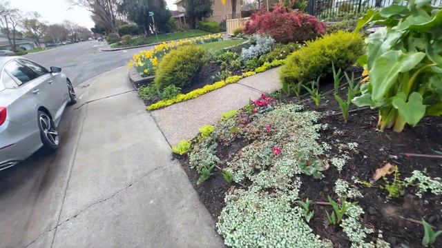 Mulch, Mulch, Mulch! The Importance of Mulch and Adding Some New Mulch to MY Garden! смотреть онлайн