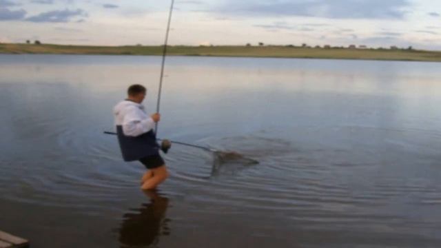 полосатик смотреть онлайн