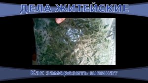 Как заморозить шпинат