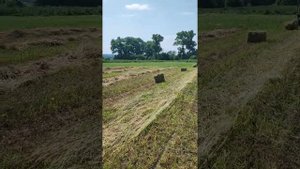 сенокос. юмз 6 прессподборщик форштрит к454 тюковка сена