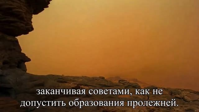4 лайфхака, как найти хорошую сиделку — Статья смотреть онлайн
