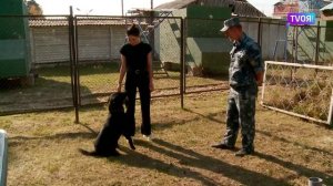 Соревнования кинологов тюменского УФСИН.mp4