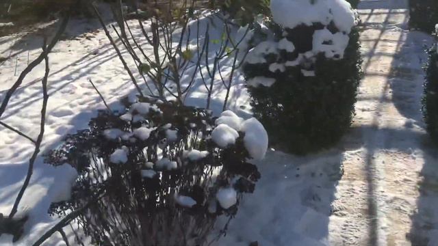 РУМ ТУР по даче НАША МАША зимой / Зимняя НАША ДАЧА смотреть онлайн