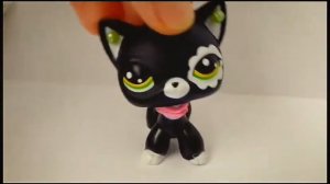 LPS клип •Solo•