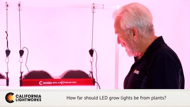 How Far Should LED Grow Lights Be From Plants? - FAQ