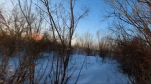 Увлекательная охота на куропатку!