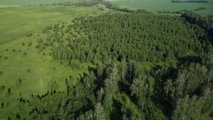 Александро-Богдановка