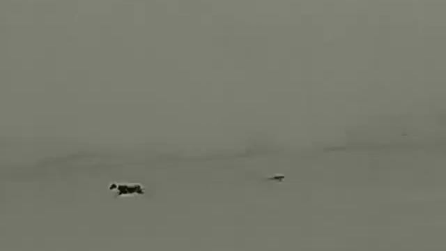 Lance grabado con térmico Xeye E3max V2 смотреть онлайн