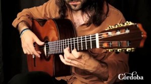 Cordoba Guitars - C7-CE Cedar
