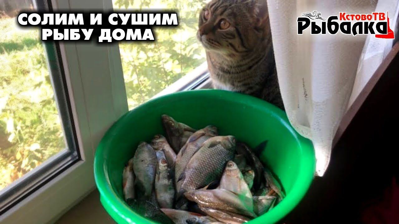 Как правильно нужно сушить рыбу дома.