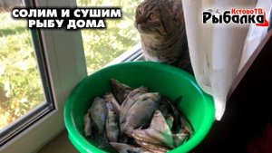 Как правильно нужно сушить рыбу дома.