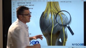 What is Ipack? - Regional anesthesia Crash course with Dr. Hadzic