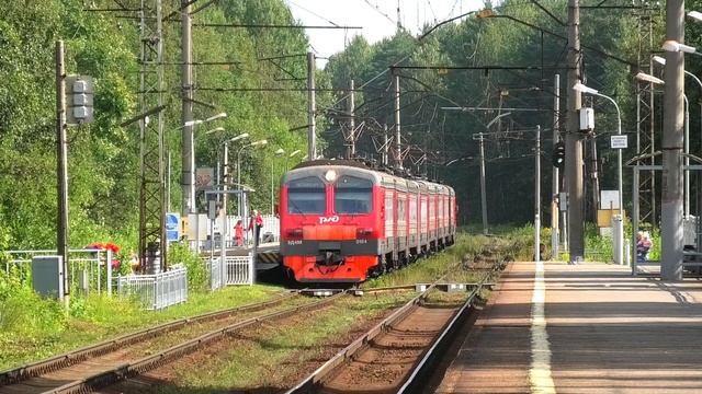 ЭД4МК-0104 сообщением Петрокрепость — Санкт-Петербург делает остановку на платформе Ковалёво смотреть онлайн
