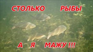ПОДВОДНАЯ ОХОТА 2021г. (НЕ УДАЧА)