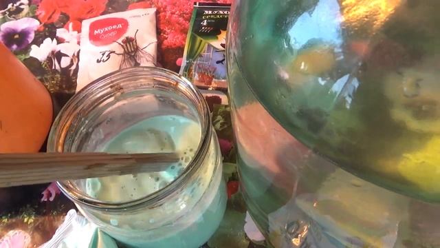 Картофелю Ордан. смотреть онлайн