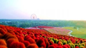 10 САМЫХ КРАСИВЫХ МЕСТ В МИРЕ | САМЫЕ КРАСИВЫЕ МЕСТА МИРА