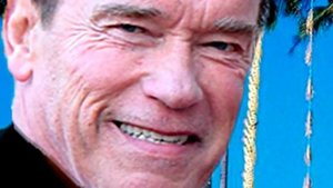 Арнольд Шварценеггер На Разных Языках Мем