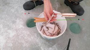 Рыбалка на корюшку. Все ТОНКОСТИ рыбалки. Зимняя рыбалка на корюшку. Писуч. р. Партизанская (Сучан).