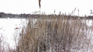 Talvinen lahti - A wintry bay - Panasonic HC-VX870 - 4K