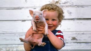 В каждом маленьком ребёнке что-то есть от поросёнка ✦ Lucky Tech