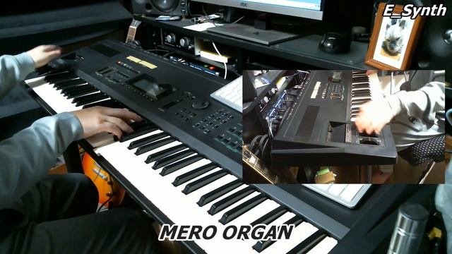 Vol.10 YAMAHA SY99 Organ Sounds DEMO смотреть онлайн