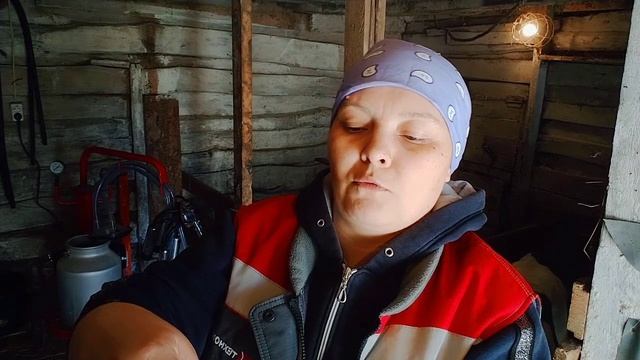 ВЕС ТЕЛЕНКА В 20 ДНЕЙ// КАК ИЗМЕРИТЬ ТЕЛЕНКА И УЗНАТЬ ПРИВЕС