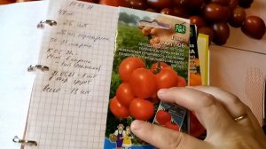 Обзор урожая томатов Марглоб и Де барао черный, сравниваем с описанием. Продолжение.