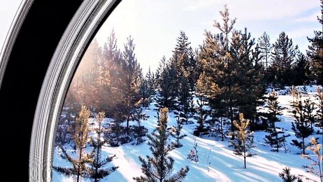 Мои новогодние поздравления! смотреть онлайн