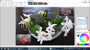 Что такое слои? Как работать со слоями в графическом редакторе Paint.net