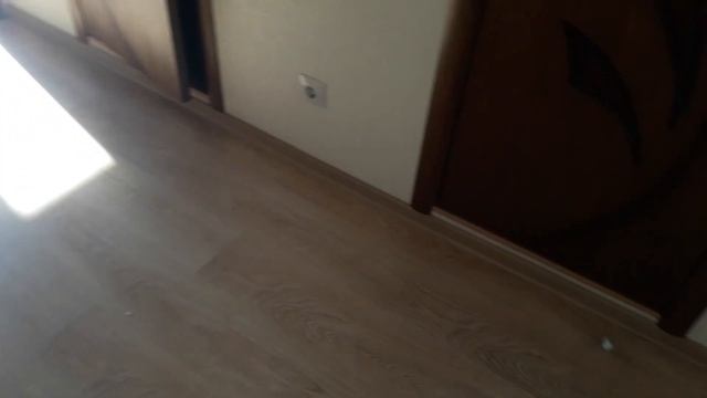 Лайфхак инструкция: как выманить и поймать кота, кошку из укрытия с помощью игрушки. смотреть онлайн