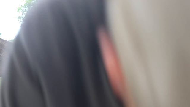 КУХНЯ ОТШЕЛЬНИКА!!!! ЛИСИЧКИ С С КАРТОШКОЙ. смотреть онлайн