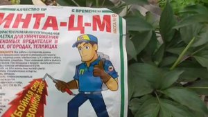САМОЕ ДЕШЕВОЕ ЭФФЕКТИВНОЕ СРЕДСТВО ДЛЯ БОРЬБЫ С ВРЕДИТЕЛЯМИ НА ЯБЛОНЕ. Ольга Чернова.