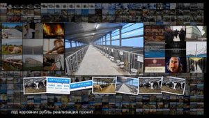 Племзавод Трудовой запустил в Саратовской области молочную ферму на 450 голов